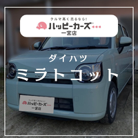 画像273