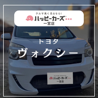 画像282