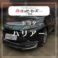 画像434
